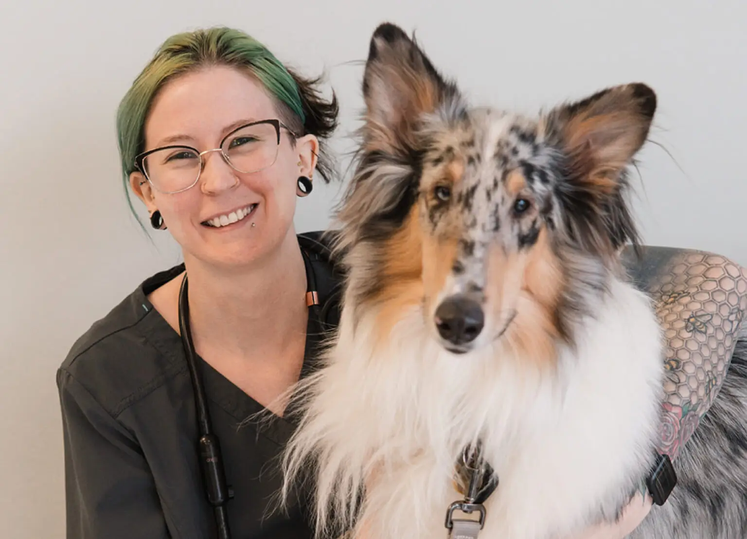 Veterinary staff pets a collie dog at Fairfax Animal Hospital.
