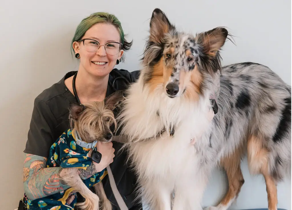 Veterinary staff sits with two dogs in the lobby of Fairfax Animal Hospital.