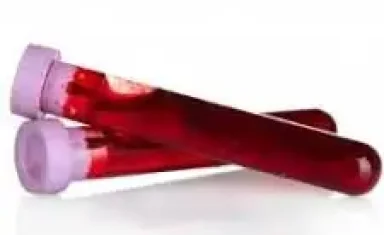 Fairfax Animal Hospital Wellness Bloodwork cats and dogs