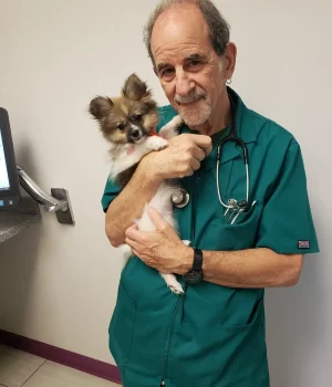 Dr. Jerry Goldfarb of Fairfax Animal Hospital