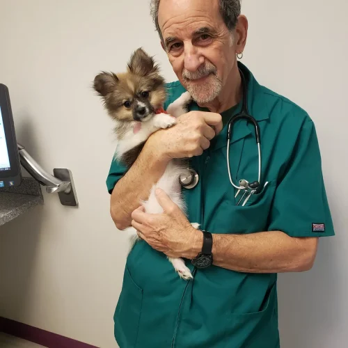 Dr. Jerry Goldfarb of Fairfax Animal Hospital